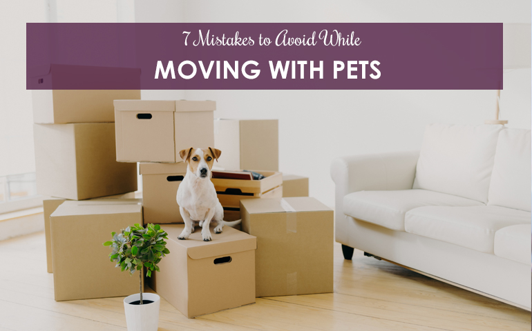 7 Mistakes to Avoid While Moving with A Pet